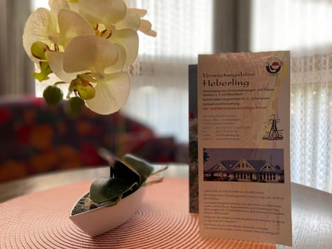 Haus Dwarslöper, Ferienwohnung 3 Apartment in Cuxhaven