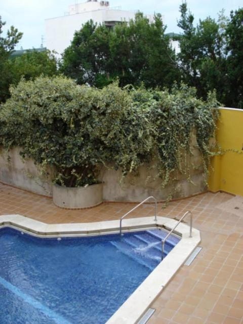 Swimming pool, Swimming pool