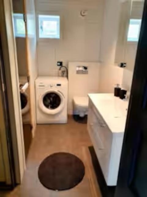 Toilet, Bathroom, washing machine