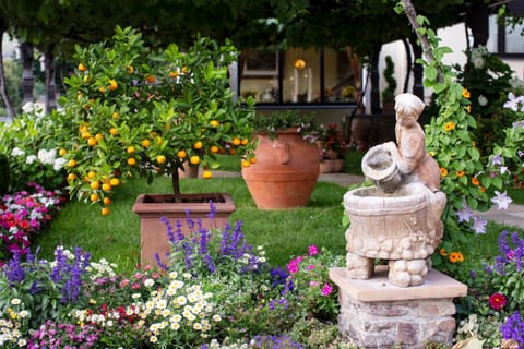 Garden, Area and facilities