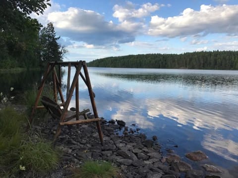 Lake view