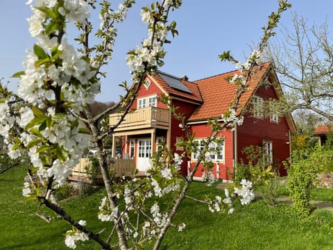 Spring