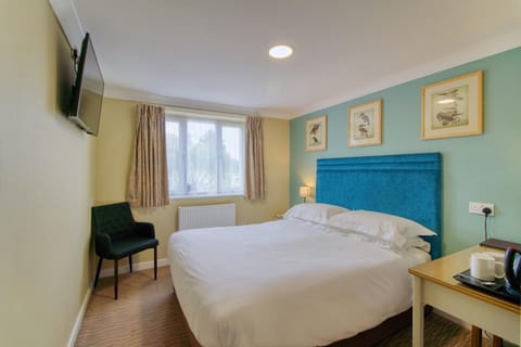 Bed, TV and multimedia, Bedroom