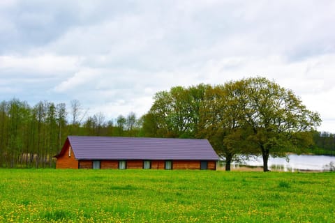 Property building, Patio, Facade/entrance, Spring, Day, Activities, BBQ facilities, Fishing, Garden, Snorkeling, Beach, Cycling, Diving, On site, Garden view, Lake view, Area and facilities, Sports