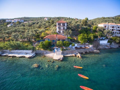 Bird's eye view, Beach, Canoeing, On site