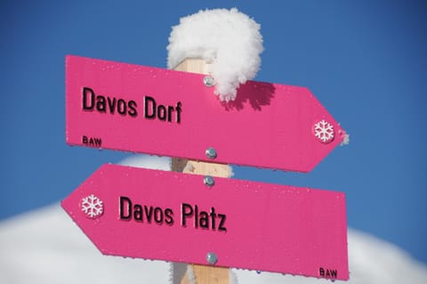 Ski School