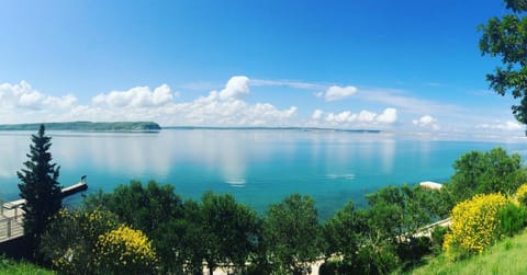 Summer, Sea view