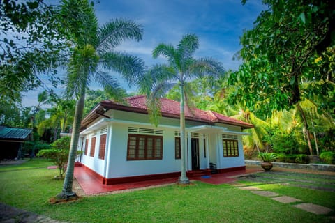 Property building, Garden, Garden view