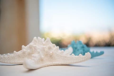 Sardegnaot vista mare piscina e spa House in Pittulongu