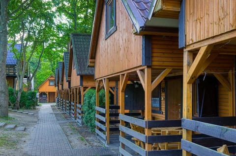 Ośrodek Wypoczynkowy Babiński Nature lodge in Wladyslawowo