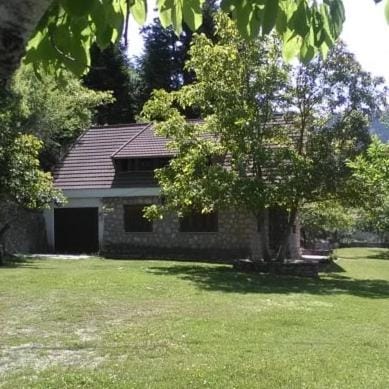 Property building, Natural landscape, Garden