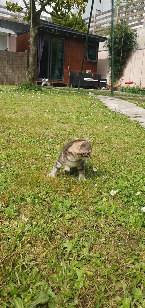 84 ėme rue House in Vitry-sur-Seine