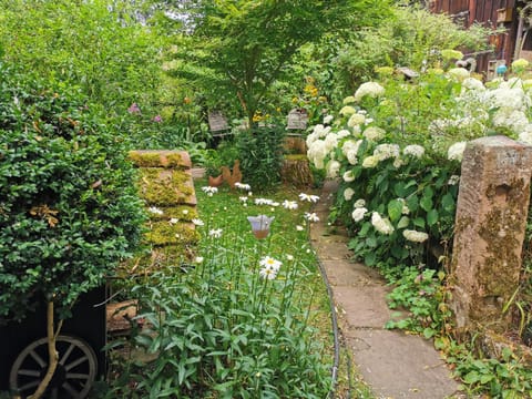 Garden, Balcony/Terrace, Garden view