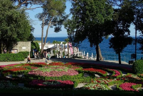 Nearby landmark, Natural landscape, Beach