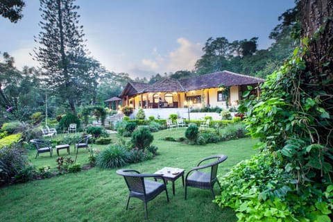Patio, Day, Garden