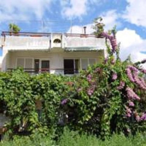 Property building, Day, Garden, Garden view