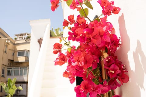 Balcony/Terrace, Balcony/Terrace