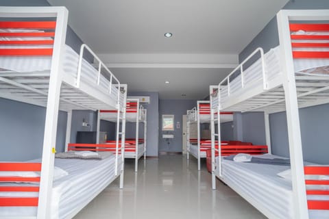 Bed, Photo of the whole room, Bedroom, bunk bed