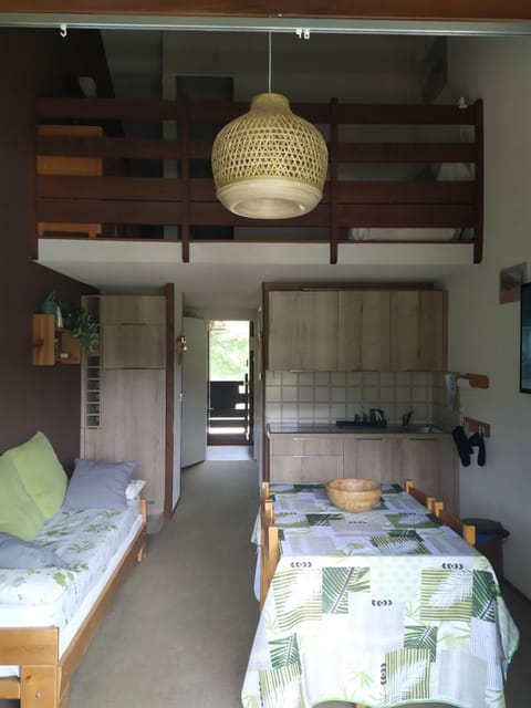 Duplex 3 pièces. Pieds des pistes et balcon! Apartment in Provence-Alpes-Côte d'Azur