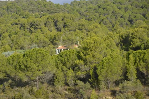 Neighbourhood, Natural landscape