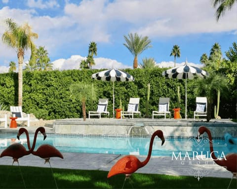 Day, Garden view, Pool view, Swimming pool, sunbed