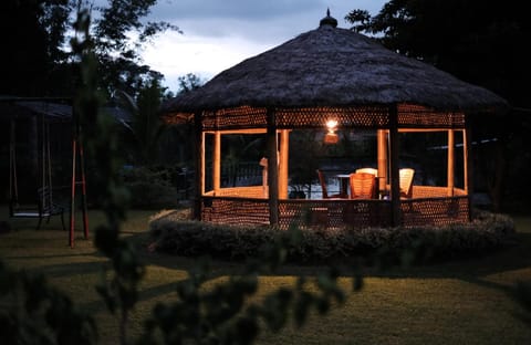 Night, Natural landscape, Garden, Garden view