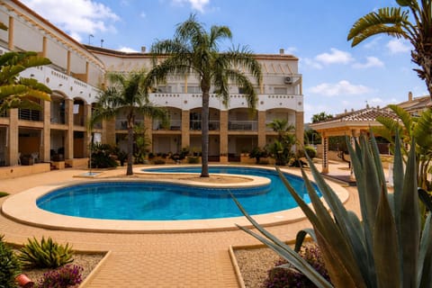 Garden, Pool view, Swimming pool