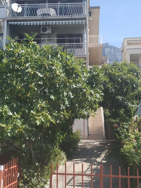 Pavlinović Jure Apartment in Makarska