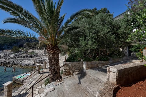 Natural landscape, Garden, Hiking