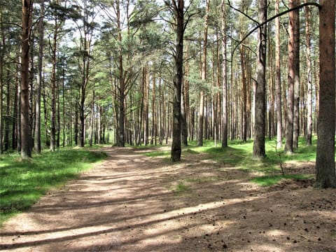Białe Domki Lubiatowo House in Pomeranian Voivodeship