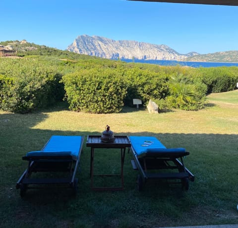 Garden, Garden view, Sea view