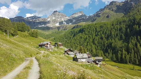 Day, Natural landscape, Summer, Mountain view