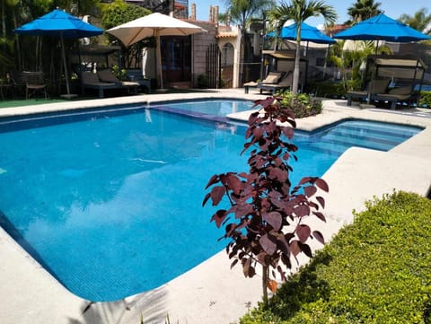 Swimming pool, Swimming pool