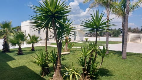 Garden, Garden, Garden view