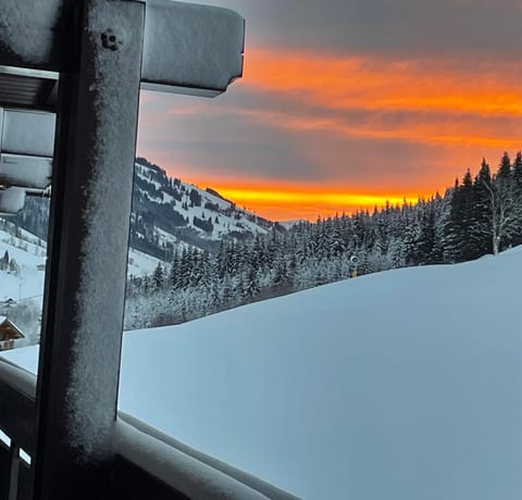 View (from property/room), View (from property/room)