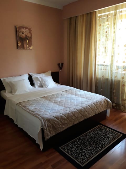Pensiunea Sydney Bed and Breakfast in Timisoara