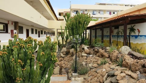 Property building, Patio, Garden