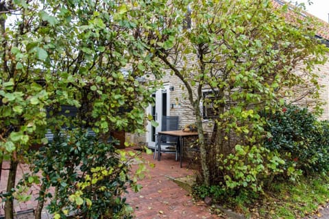 Property building, Day, Garden