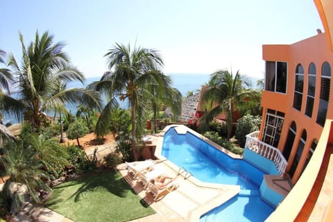 Patio, Garden, Swimming pool