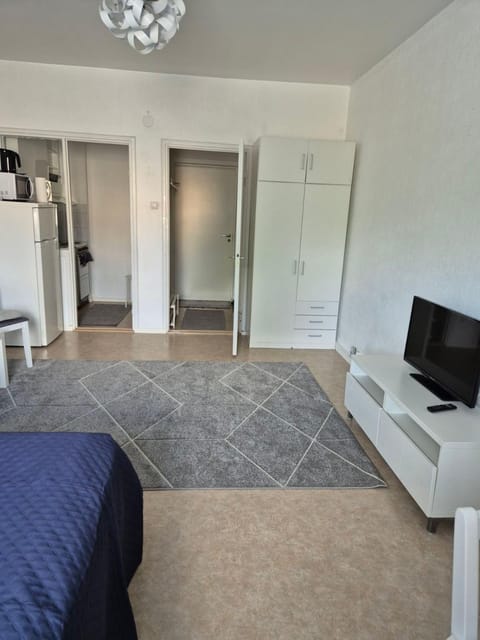 TV and multimedia, Kitchen or kitchenette, Photo of the whole room, wardrobe