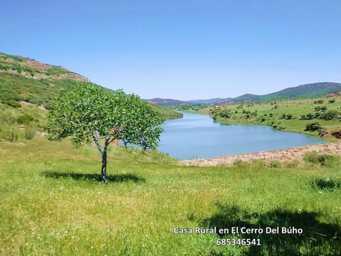 Lake view