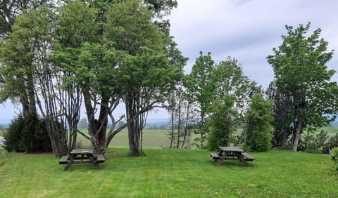 Garden, View (from property/room), Garden view