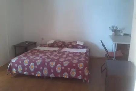 Drvenik, Apartman 1m from sea Apartment in Dubrovnik-Neretva County