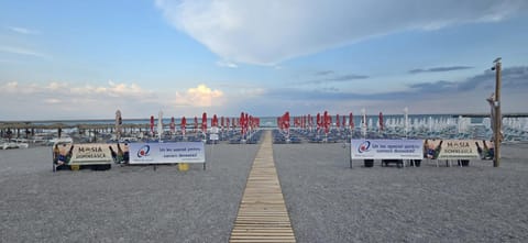 Beach, sunbed