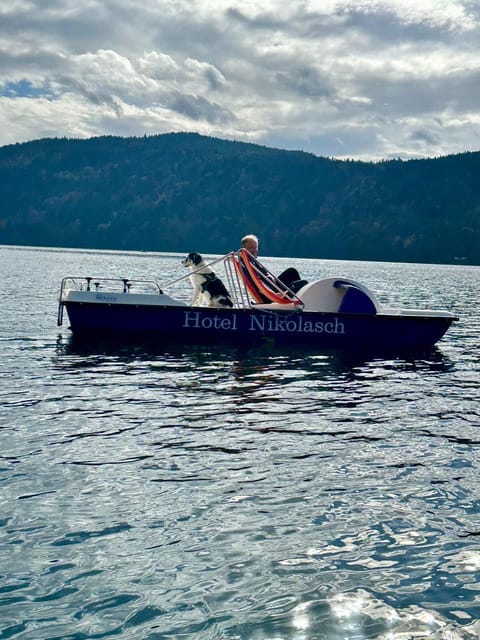 Animals, Sports, pet friendly