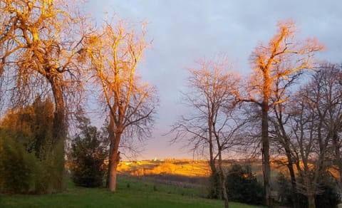 Garden view
