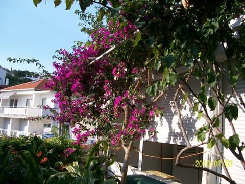 Apartmani Šurlin Bed and Breakfast in Hvar