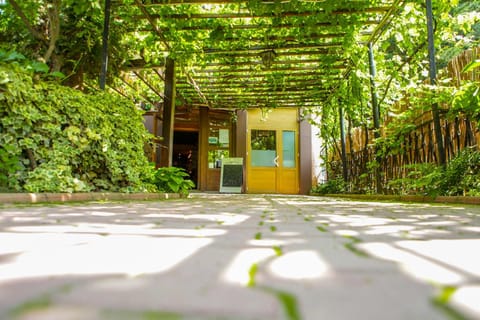 Property building, Garden