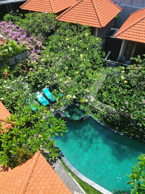 Day, Garden view, Pool view, Swimming pool