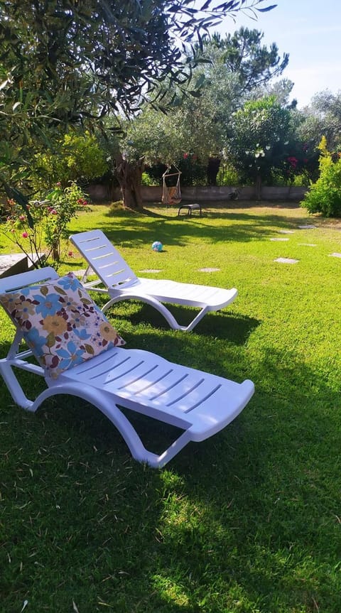 Garden, sunbed